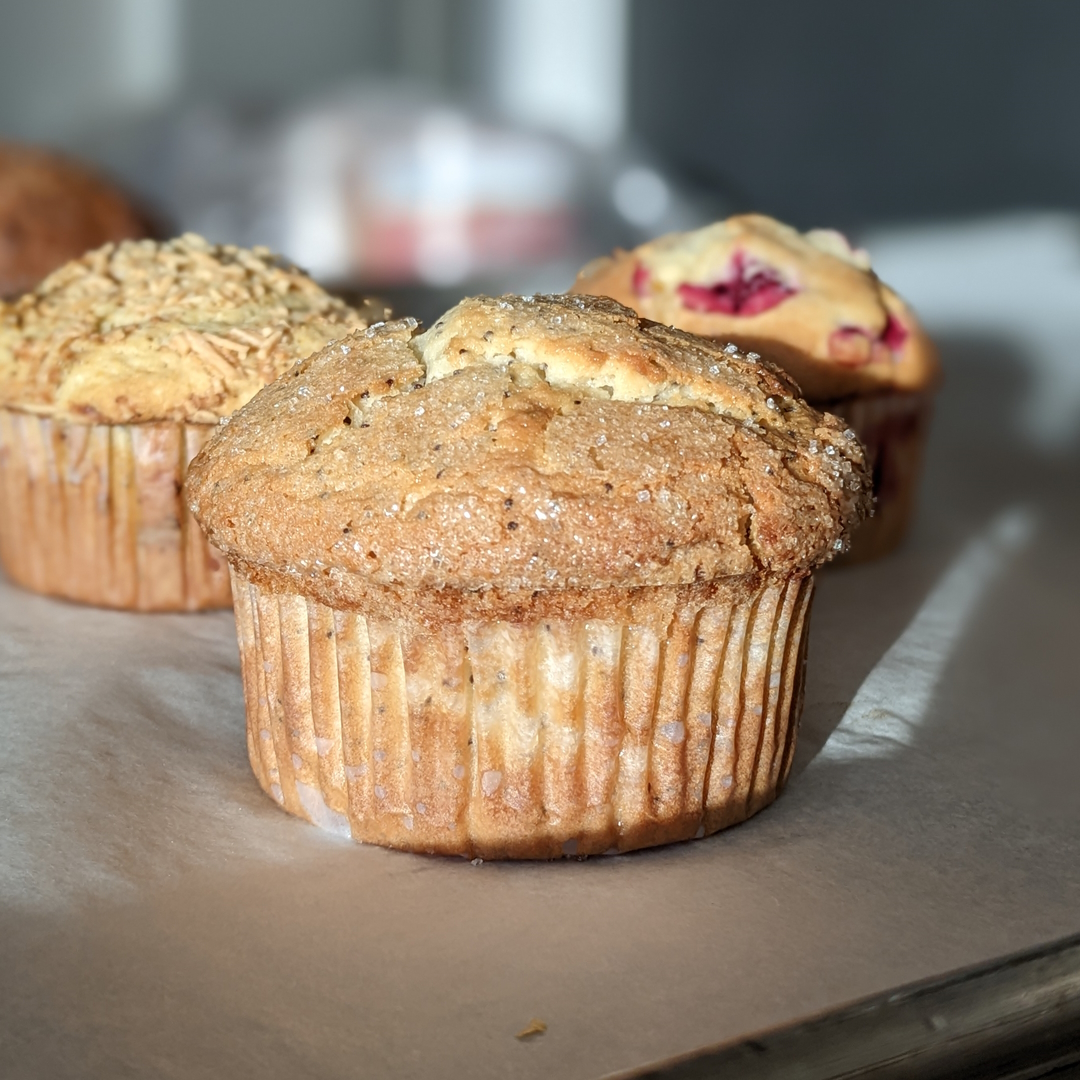 Lemon Poppy Seed Muffin